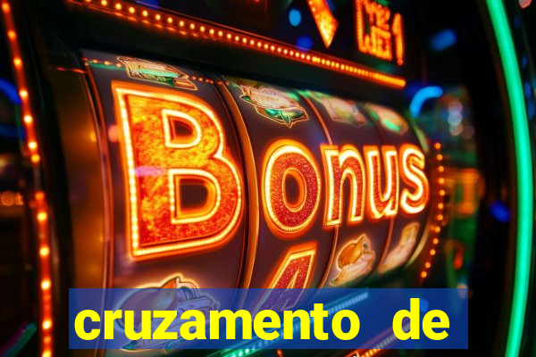 cruzamento de cavalo com mula